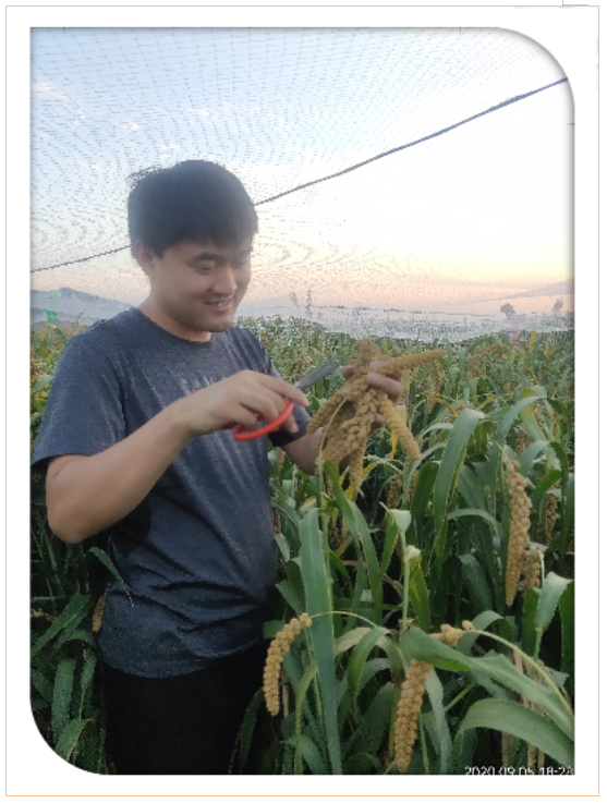 捕获12.PNG 捕获12.PNG