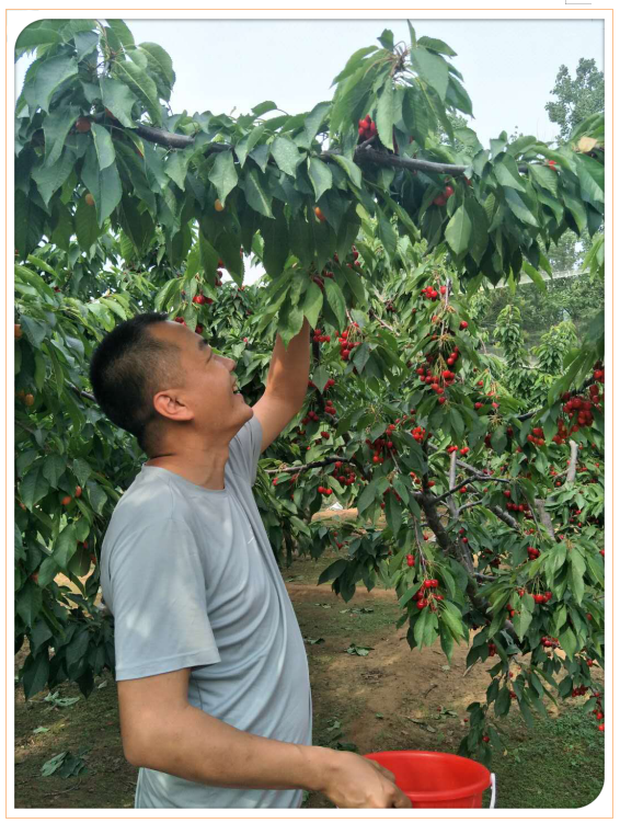 捕获7.PNG 捕获7.PNG