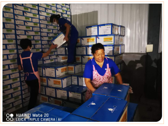 捕获11.PNG 捕获11.PNG