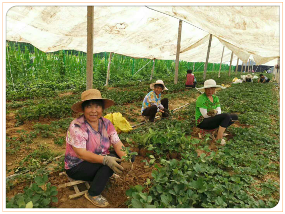 捕获9.PNG 捕获9.PNG