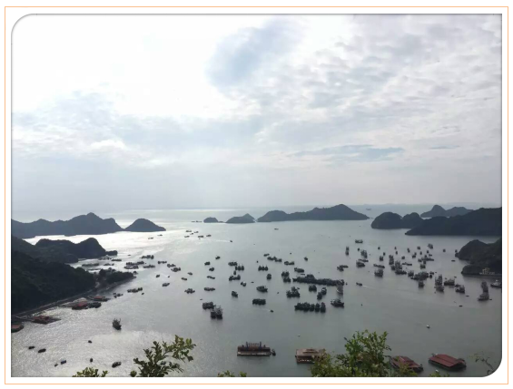 捕获.PNG 捕获.PNG