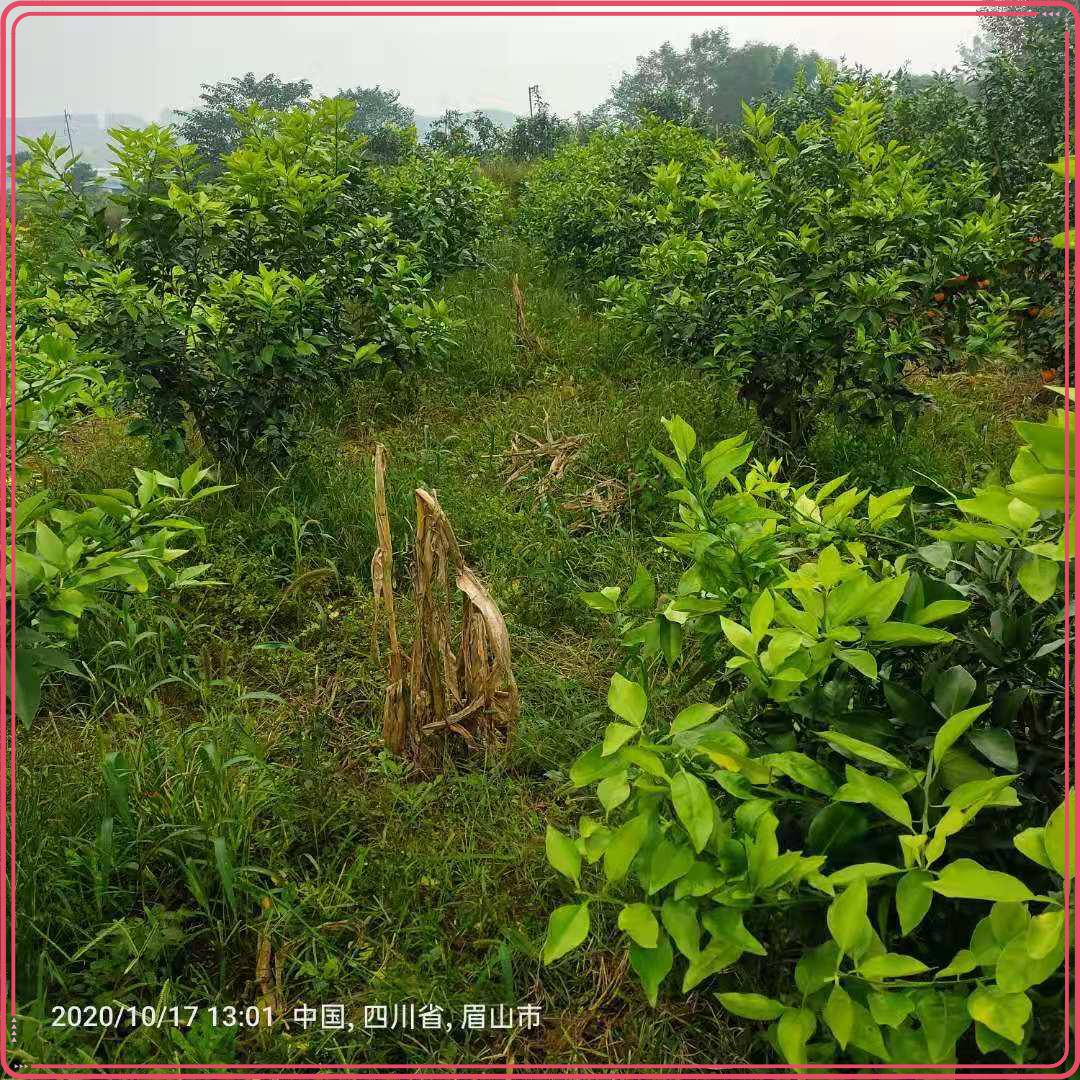 图片4.jpg 图片4.jpg