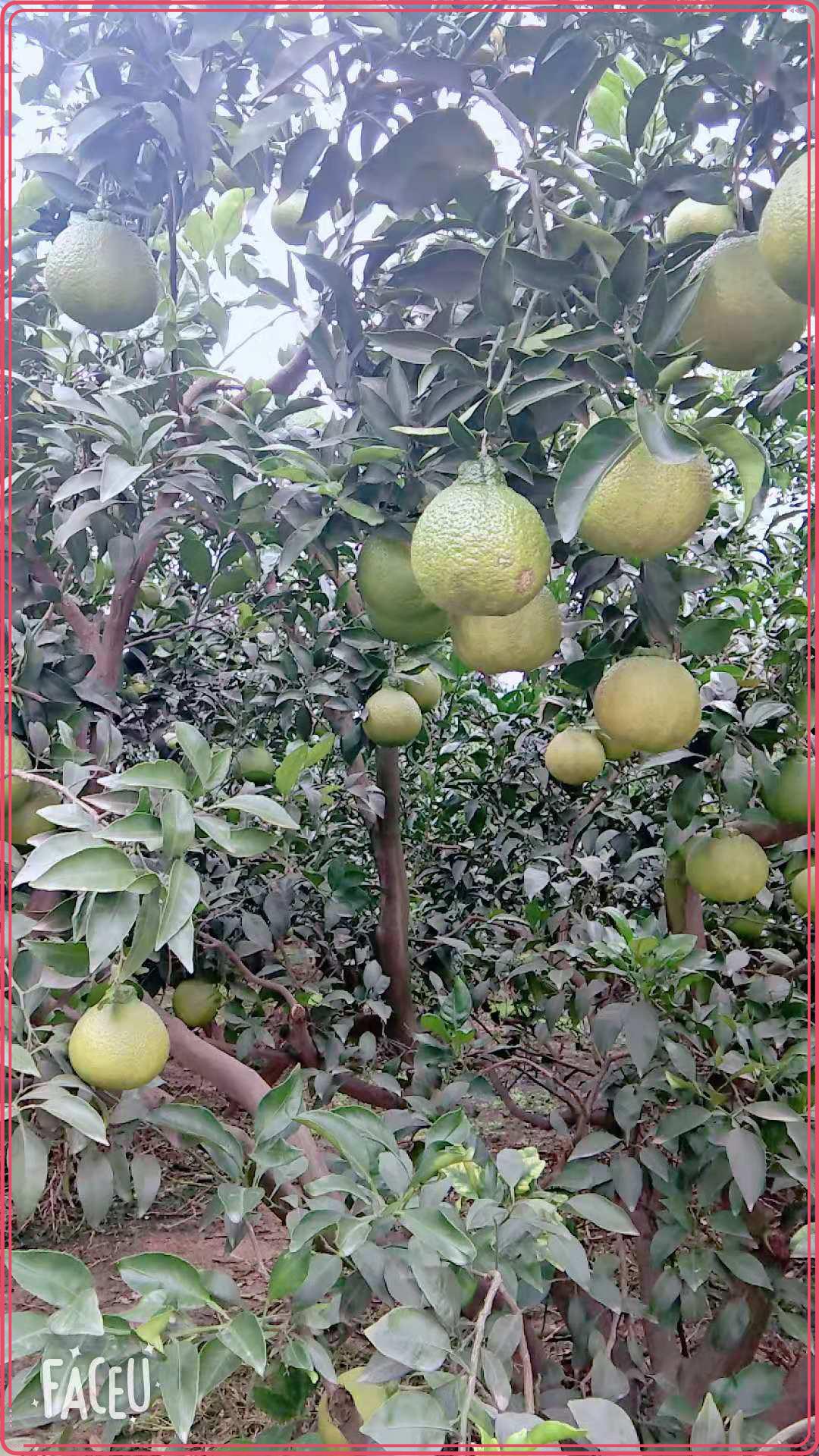 图片8.jpg 图片8.jpg