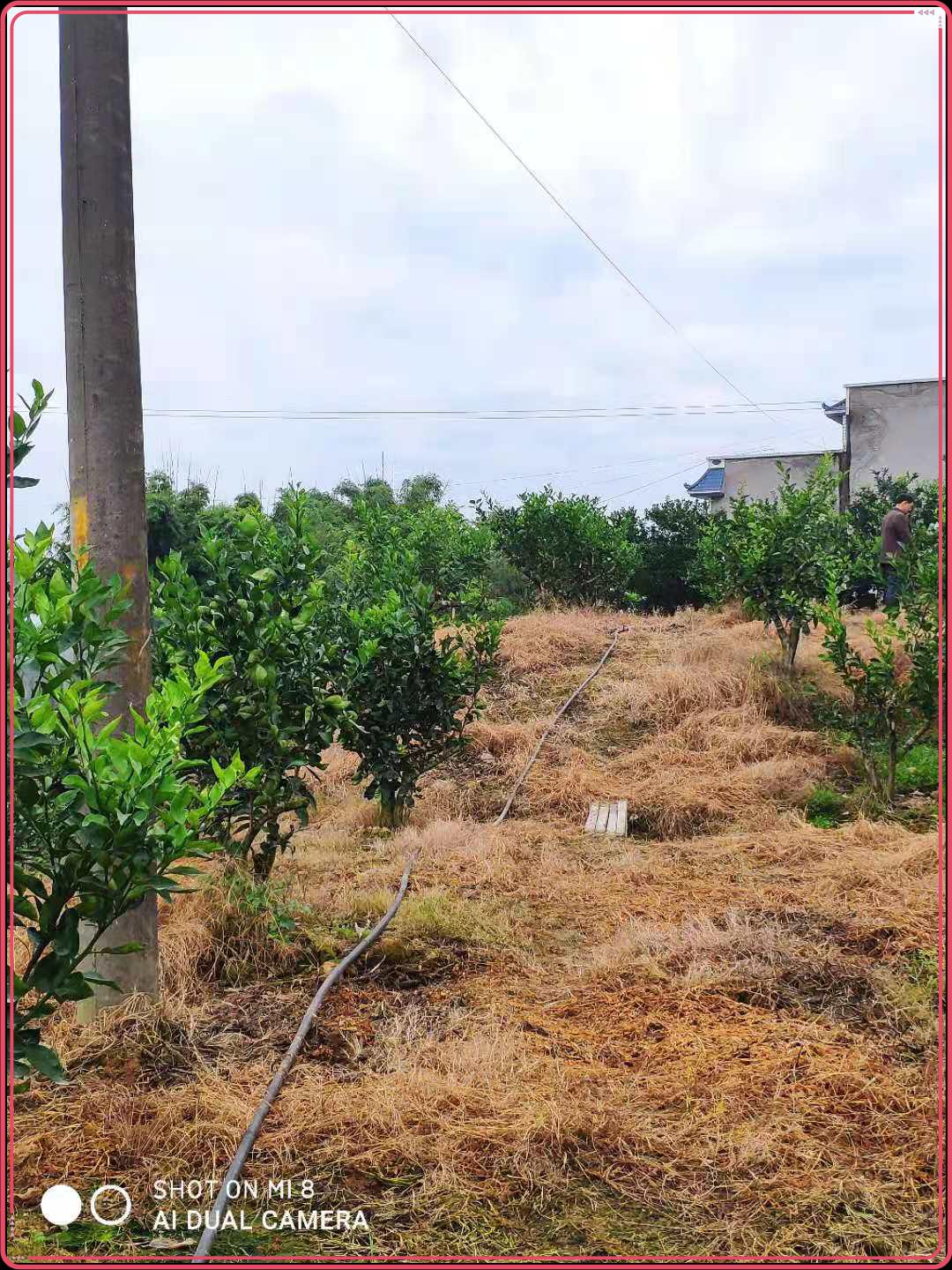 图片3.jpg 图片3.jpg