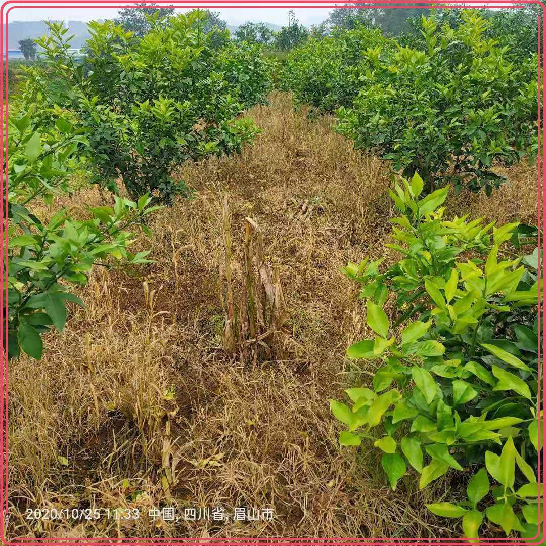 图片5.jpg 图片5.jpg