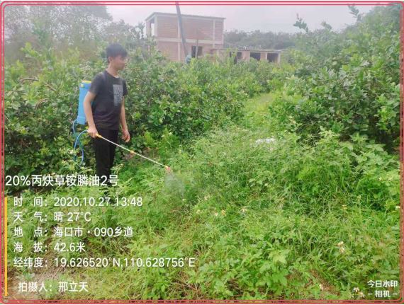 必须的.JPG 必须的.JPG