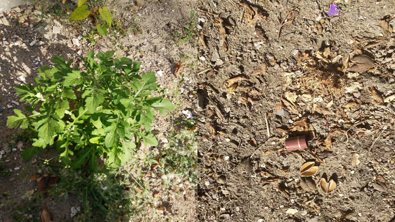 微信图片_20210414102439.png 微信图片_20210414102439.png