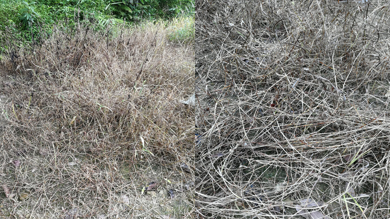 微信图片_20210414102107.png 微信图片_20210414102107.png