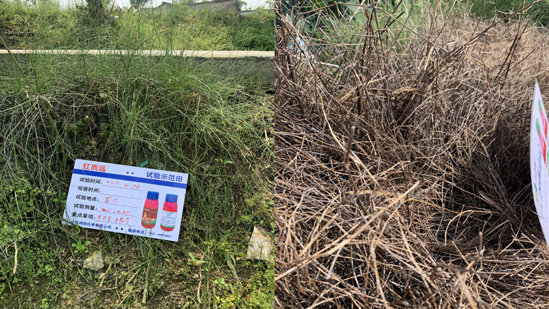 微信图片_20210414102212.png 微信图片_20210414102212.png