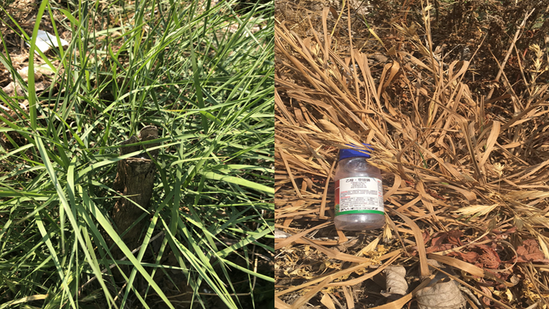 微信图片_20210414101937.png 微信图片_20210414101937.png