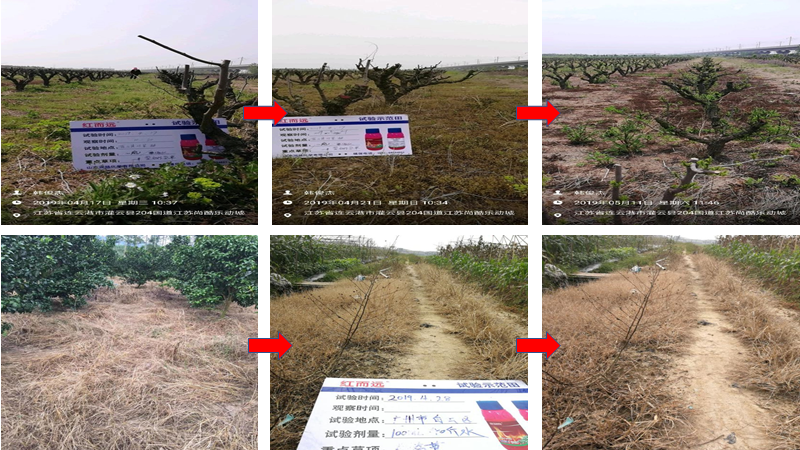 微信图片_20210414101427.png 微信图片_20210414101427.png