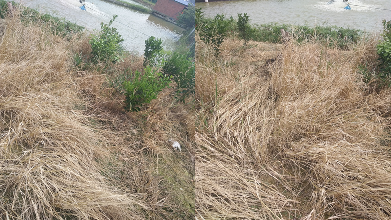 微信图片_20210414103215.png 微信图片_20210414103215.png