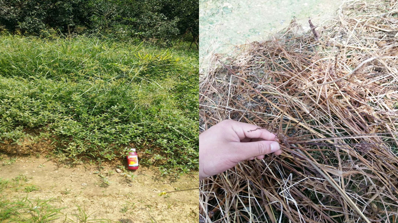 微信图片_20210414103009.png 微信图片_20210414103009.png