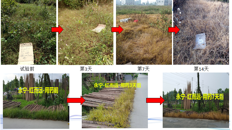 微信图片_20210414101328.png 微信图片_20210414101328.png